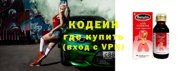 ГАЛЛЮЦИНОГЕННЫЕ ГРИБЫ Корсаков