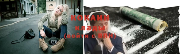 ГАЛЛЮЦИНОГЕННЫЕ ГРИБЫ Корсаков