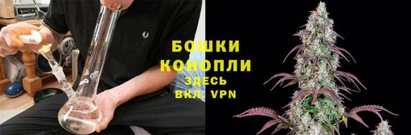 ГАЛЛЮЦИНОГЕННЫЕ ГРИБЫ Корсаков
