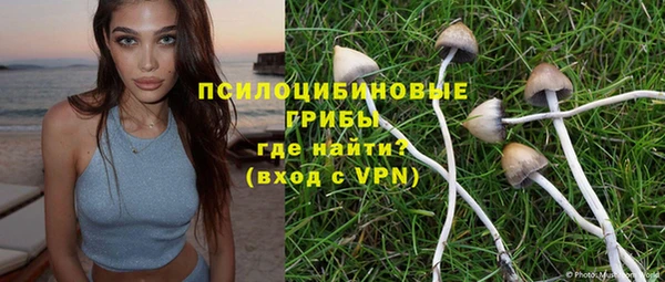 ГАЛЛЮЦИНОГЕННЫЕ ГРИБЫ Костерёво