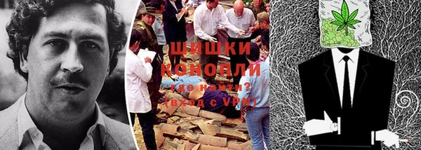 ГАЛЛЮЦИНОГЕННЫЕ ГРИБЫ Костерёво