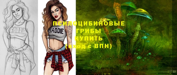 мескалин Коряжма